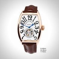 Franck Muller THE CINTREE CURVEX