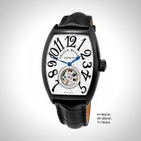 Franck Muller THE CINTREE CURVEX