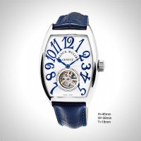 Franck Muller THE CINTREE CURVEX