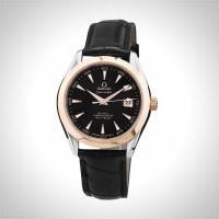 Omega Seamaster