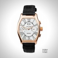 Ulysse Nardin Michelangelo