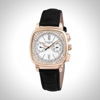 Patek Philippe Ladies Complications